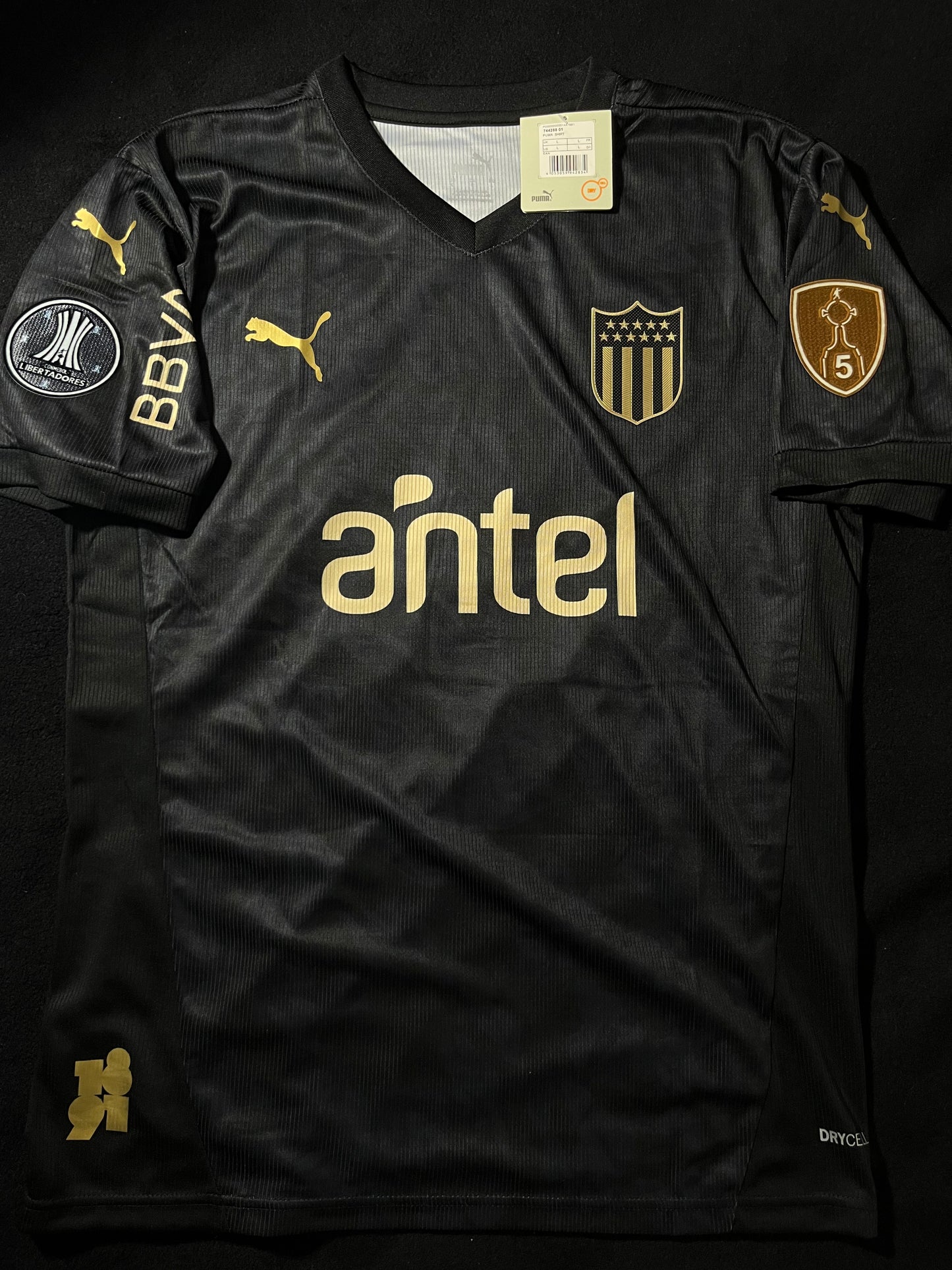 Version Jugador | Peñarol 2025